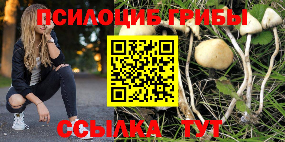 Котельники  Псилоцибиновые грибы Psilocybe  Вход с VPN 